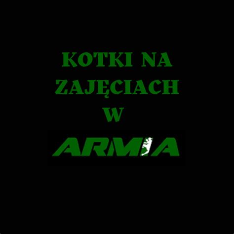 Grupa Kotki Na Zdj Ciach W Armii Polkowice Przedszkole Miejskie Nr