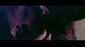 Christine Kaufmann Nude Aznude