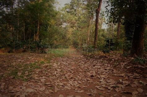 Chikmagalur Hill Station, Karnataka Stock Photo - Image of mountain ...