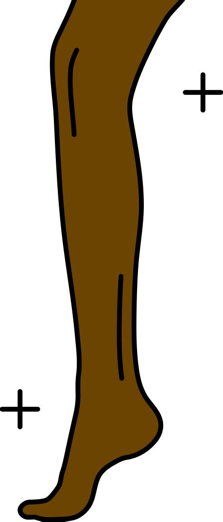 Tipos De Depilaci N Del Bikini Por Los Que Eres Demasiado T Mida Para Preguntar Explicados