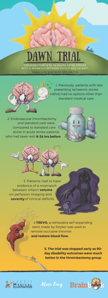 Portfolio Infographics Ladvic Medical Ilustration