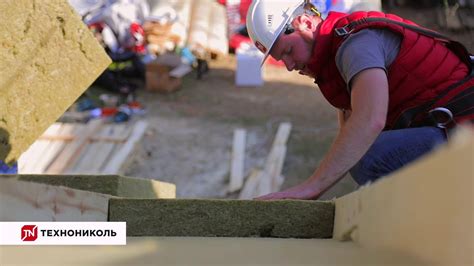 Лента уплотнительная самоклеящаяся ТехноНИКОЛЬ АЛЬФА КОНТРБРУС 60 мм*30 ...