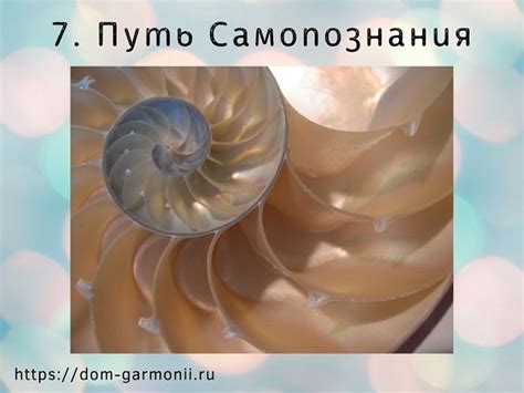 48 кармических путей по дате рождения. Лунные узлы — Дом гармонии