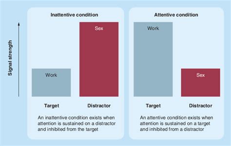 Attention Model Of Hypersexuality Individuals With Attentional