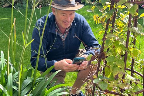 How To Have Picture Perfect Borders Amateur Gardening