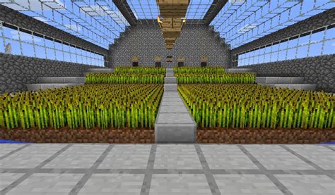 Automatic Farm Minecraft Map