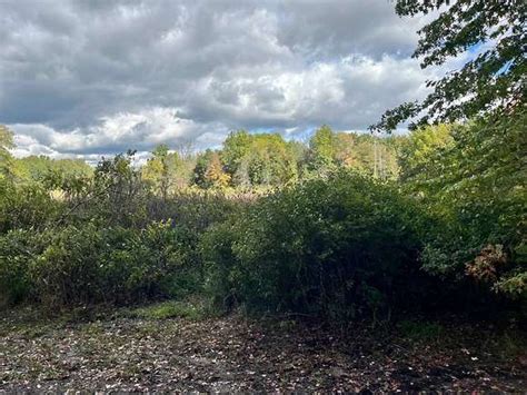 40 Acres Of Recreational Land For Sale In Decatur Michigan Landsearch