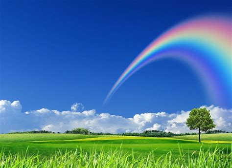 Rainbow Nature Wallpapers - Top Free Rainbow Nature Backgrounds ...