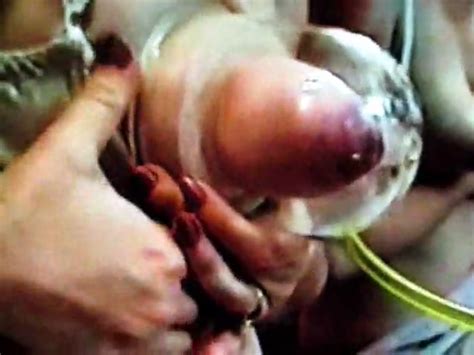 Milking Machine Dairy Girls Milked Tits Page