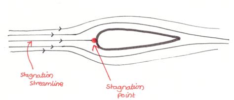 bernoulli equation sophie drew