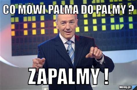 Co mówi palma do palmy zapalmy Memy pl