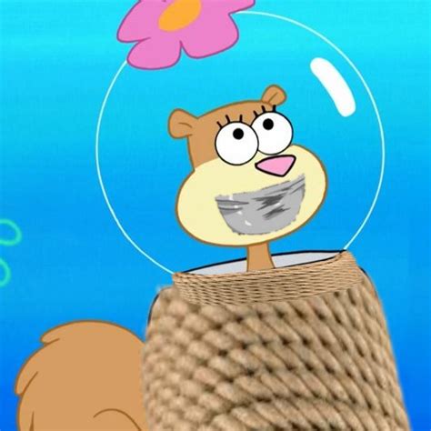 Sandy Cheeks Gagged 3 By Blackwidow202 On Deviantart