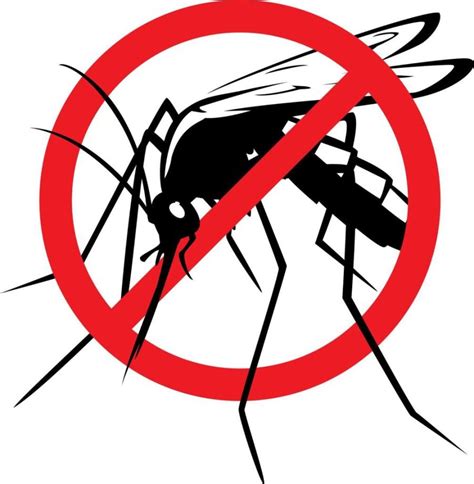 Easy Ways To Avoid Getting Mosquito Bites Whilst Travelling Mosq Guide