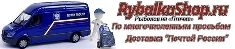 Рыболов на Птичке