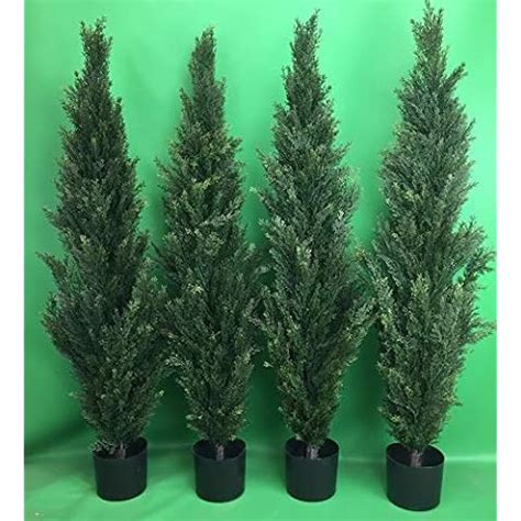 Silk Tree Warehouse Review Of Artificial Topiaries Brand