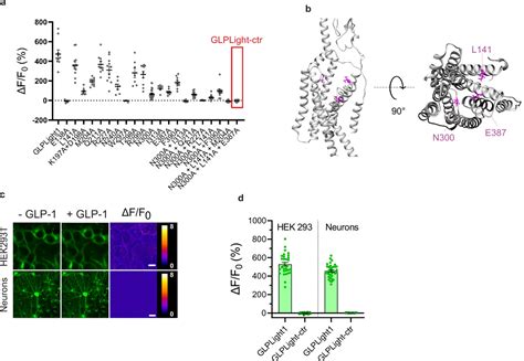 Figures And Data In Optical Tools For Visualizing And Controlling Human