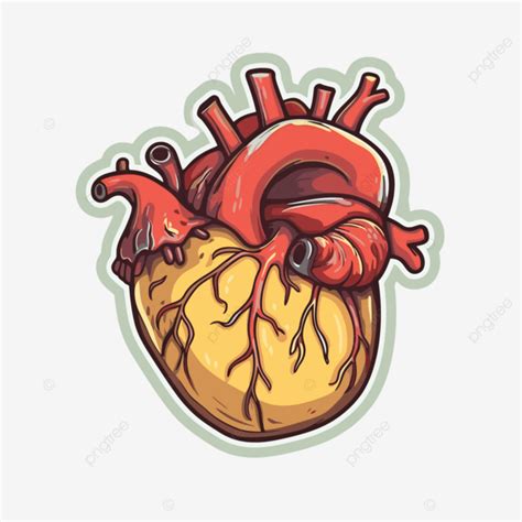 An Illustration Of A Heart Clipart Vector Heart Clipart Real Heart