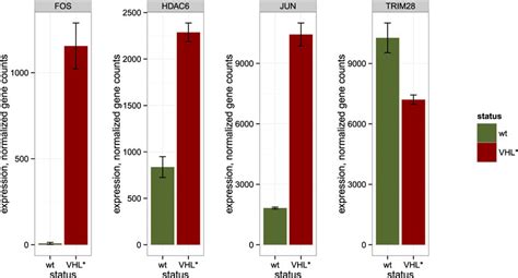 Gene Expression In Wild Type Caki 1 And Caki 1 Vhl Cells For Certain Download Scientific