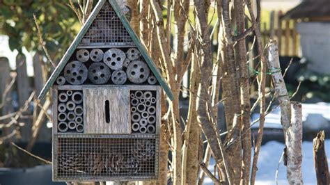 Insektenhotels Artenvielfalt In Ihrem Garten Eschenbach Optik