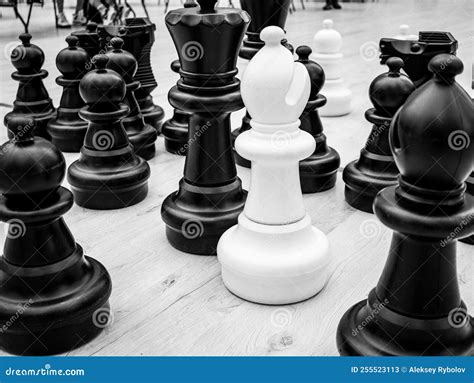 Black And White Chess Pieces Placed On A Chessboard Close Up Stock