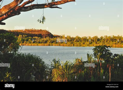ord river  kununurra australia stock photo alamy