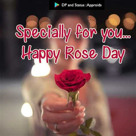 Rose🌹 Day • Sharechat Photos And Videos