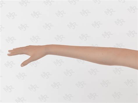 D Model Naked Girl Animations Pack VR AR Low Poly Rigged Animated CGTrader