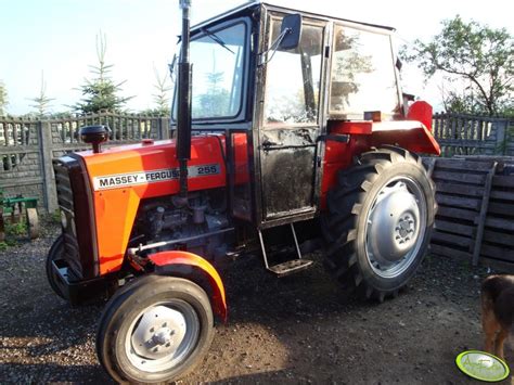 Obraz ciagnik Massey Ferguson 255 id:372199 - Galeria rolnicza agrofoto