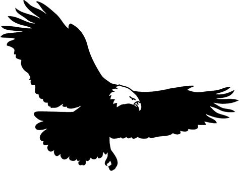 simplify  enhance  eagle outline cliparts