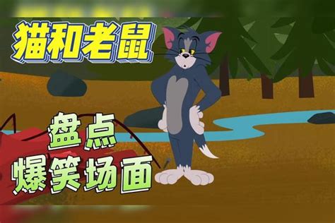 猫和老鼠：盘点搞笑片段，汤姆和小狗进行奶油大战，场面十分激烈汤姆小狗进行