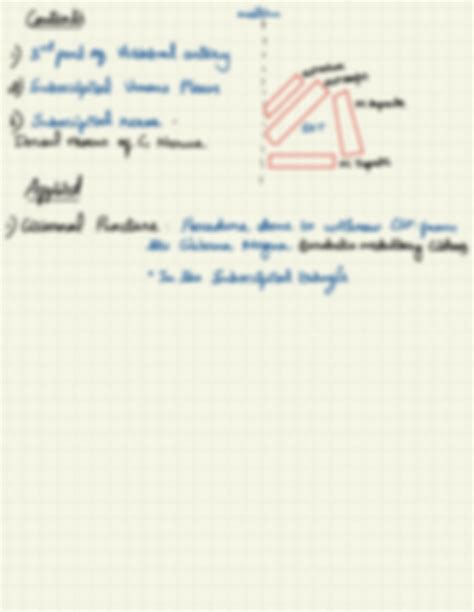 Solution Suboccipital Triangle Studypool