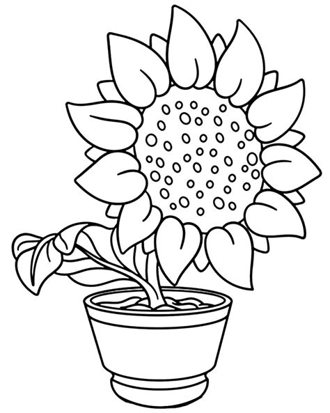 Desenhos de Girassol para colorir - Dicas Práticas