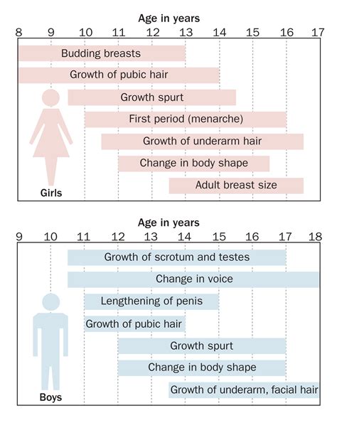 Puberty Girls Stages Chart