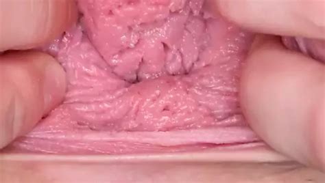 Free Cunt Porn Videos Xhamster