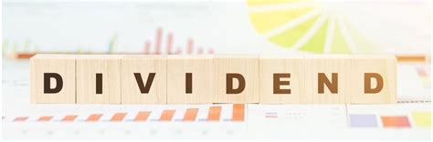 Solvency Ratios Types Meaning Formula And Calculations