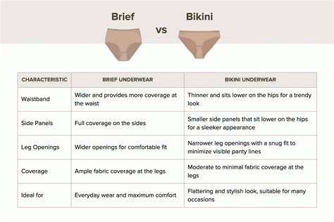French Cut Underwear Vs Bikini Finding The Perfect Fit For Your Body Abely