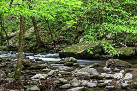 Rocky River Bank Photograph By Cindy Lyons Pixels