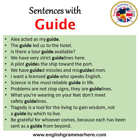 Sentences with Guide, Guide in a Sentence in English, Sentences For ...