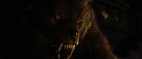 New Concept 15+ Cursed Werewolf Movie