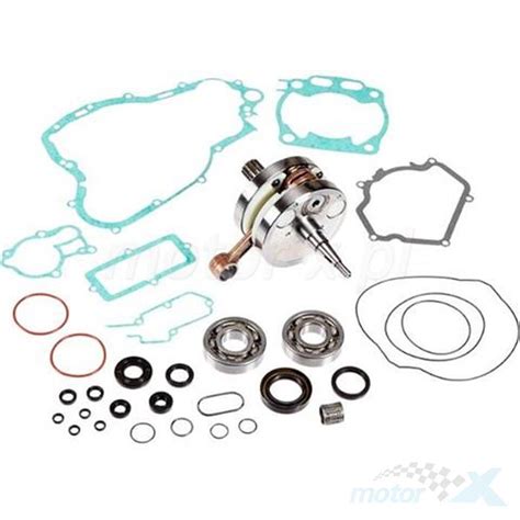 Engine Pit Repair Kit Crankshaft Bearings Seals Gaskets Hot Rods CBK0078 Motor X