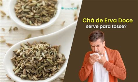 Oque E Bom Pra Tosse - Chá de erva doce é bom para tosse? Entenda seus incríveis efeitos