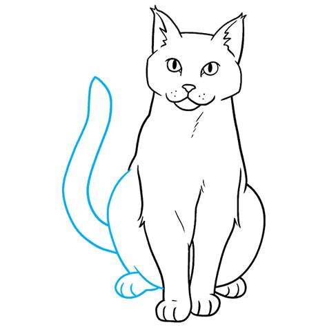 Orange Kitty Drawing at William Ferdinand blog