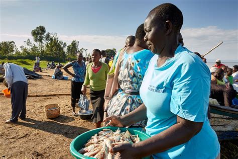 No Sex For Fish Phmuseum