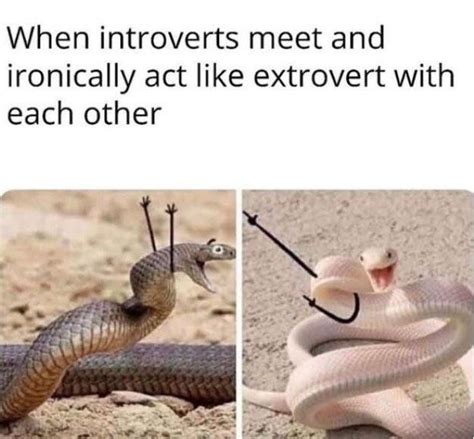 51 INTJ Memes You Will Instantly Relate To – INTJ Secrets