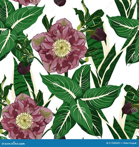 Blooming Hellebore Flowers Floral Seamless Pattern Helleborus Niger