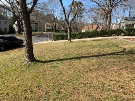Quality Care Lawn Care