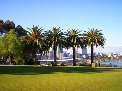 Kings Park And Botanic Garden Gotravelyourself