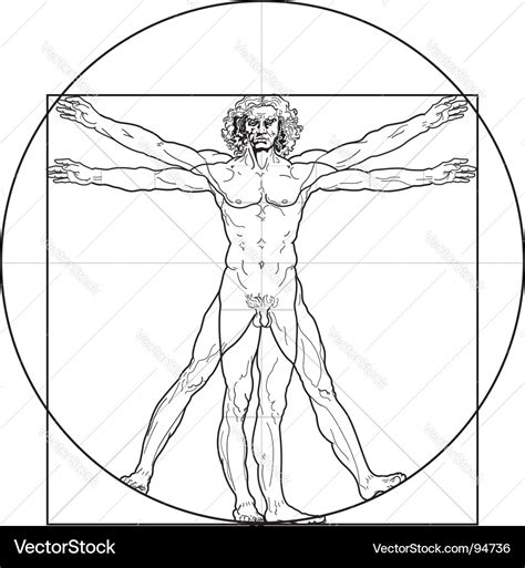 Vitruvian Man Royalty Free Vector Image Vectorstock