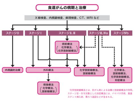 食道がん治療の最前線 ― 集学的治療やロボット手術で、患者さんの負担軽減と治療効果の向上を 胃癌・食道癌・大腸癌の治療 「がん治療」新時代