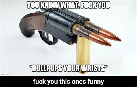 YOU KNOW WHAT FUCK BULLPUPS YOUR WRISTS Fuck You This Ones Funny Fuck You This Ones Funny